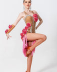 3D Roses Fringe Crystalline Latin Dress Latin/Rhythm