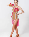 3D Roses Fringe Crystalline Latin Dress Latin/Rhythm