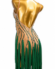 Crystalline Fringe&Rhinestones Latin Dress Latin/Rhythm