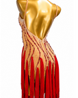 Crystalline Fringe&Rhinestones Latin Dress Latin/Rhythm