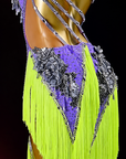Kristallines Farbkontrast-3D-Blumen-Fransenkleid Latein/Rhythmus