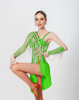 One-shoulder Crystalline Beaded Fringe Latin Dress Latin/Rhythm