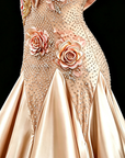 Ballsaalkleid mit Straußenfedern Standard/Smooth