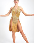 Chrisanne Shine Lycra Fringe Crystalline Latin Dress Latin/Rhythm