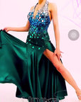 Crystalline Starry  Smooth Competition Dress Standard/Smooth
