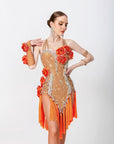 3D Roses Fringe Crystalline Latin Dress Latin/Rhythm 