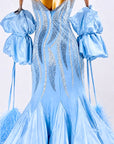 Crystalline Ostrich Feather Ballroom Dress Standard/Smooth 