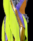 Crystalline Color‑Contrast 3D Floral Fringe Dress  Latin/Rhythm 