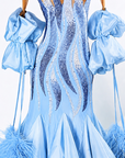 Crystalline Ostrich Feather Ballroom Dress Standard/Smooth 