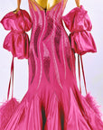 Crystalline Ostrich Feather Ballroom Dress Standard/Smooth 
