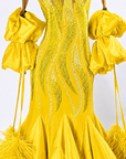 Crystalline Ostrich Feather Ballroom Dress Standard/Smooth 