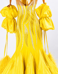 Crystalline Ostrich Feather Ballroom Dress Standard/Smooth 