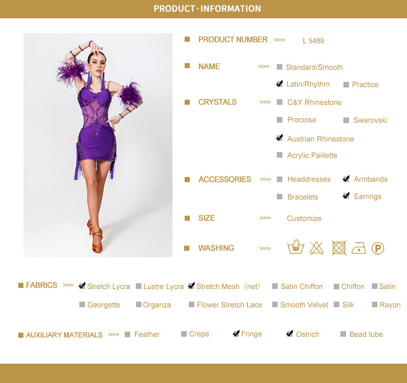 Stretch Net Ostrich Feather Latin Dress Latin/Rhythm 