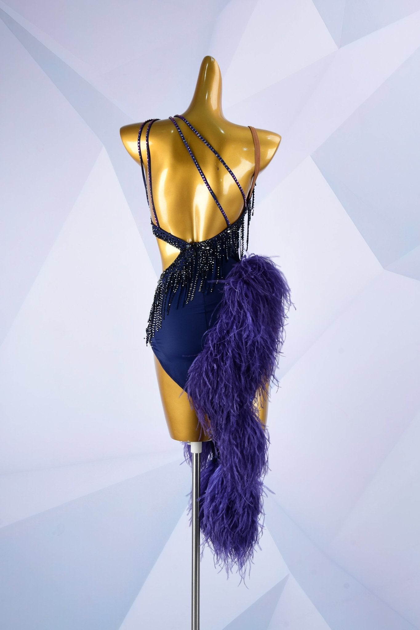 Beaded & Ostrich Feather Latin Dress Latin/Rhythm 