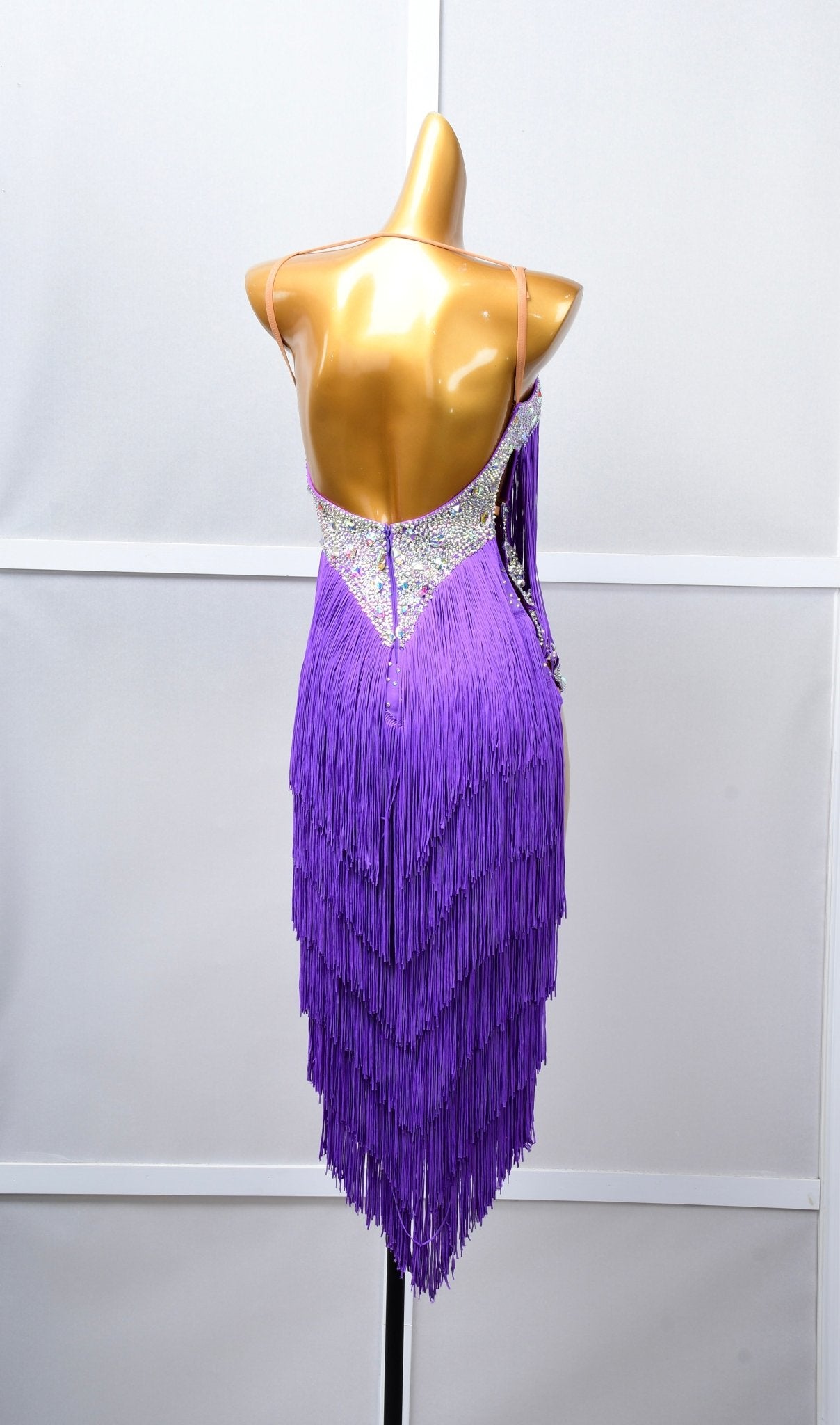 Crystalline Fringe Latin Dress Latin/Rhythm 