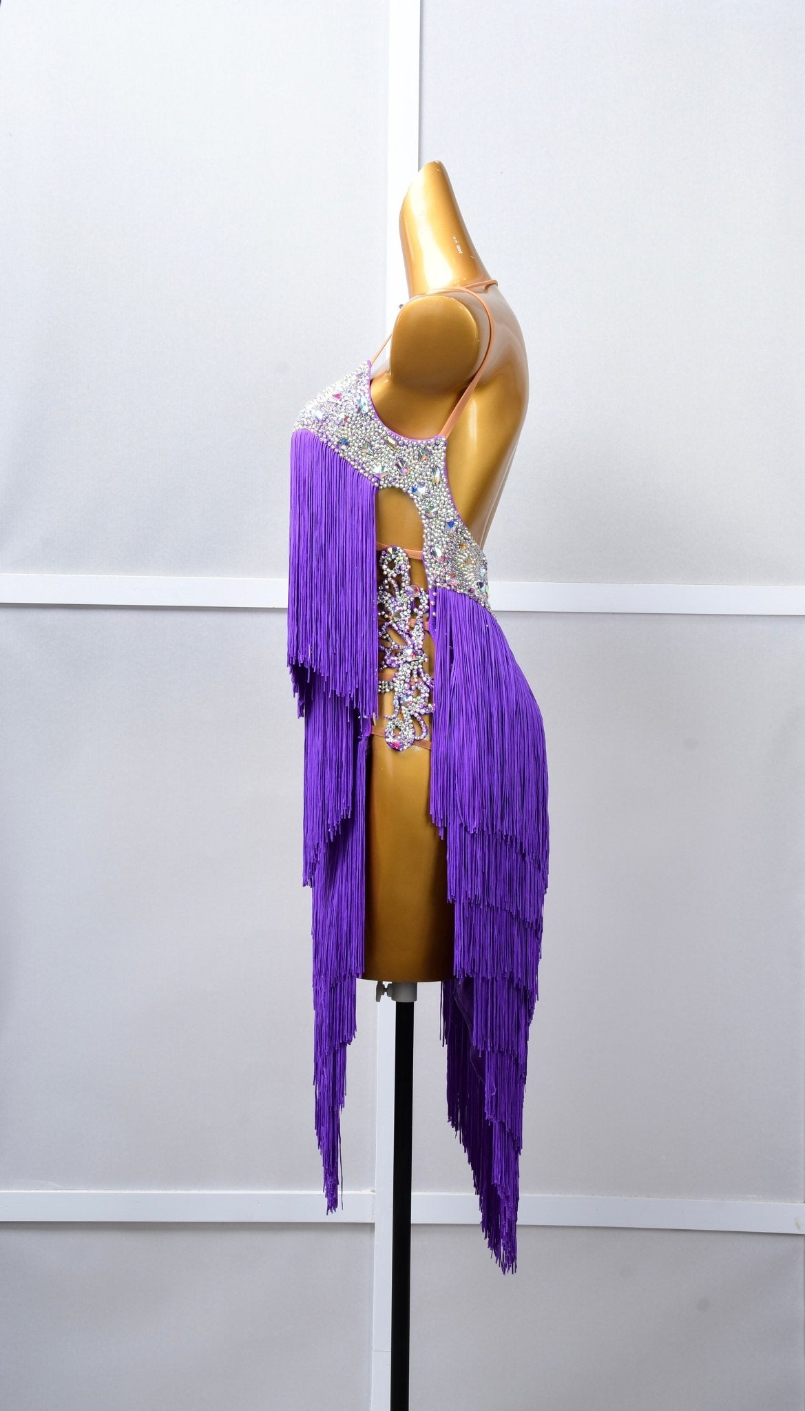 Crystalline Fringe Latin Dress Latin/Rhythm 