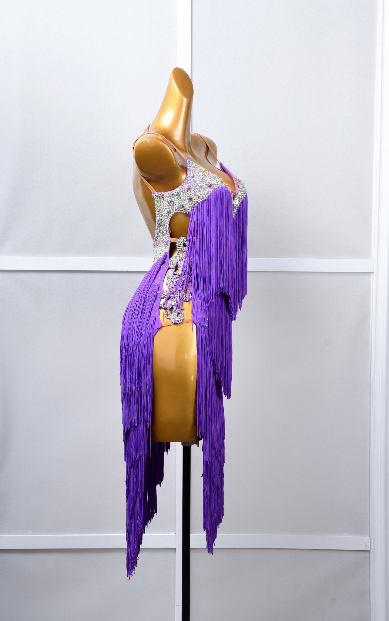 Crystalline Fringe Latin Dress Latin/Rhythm 