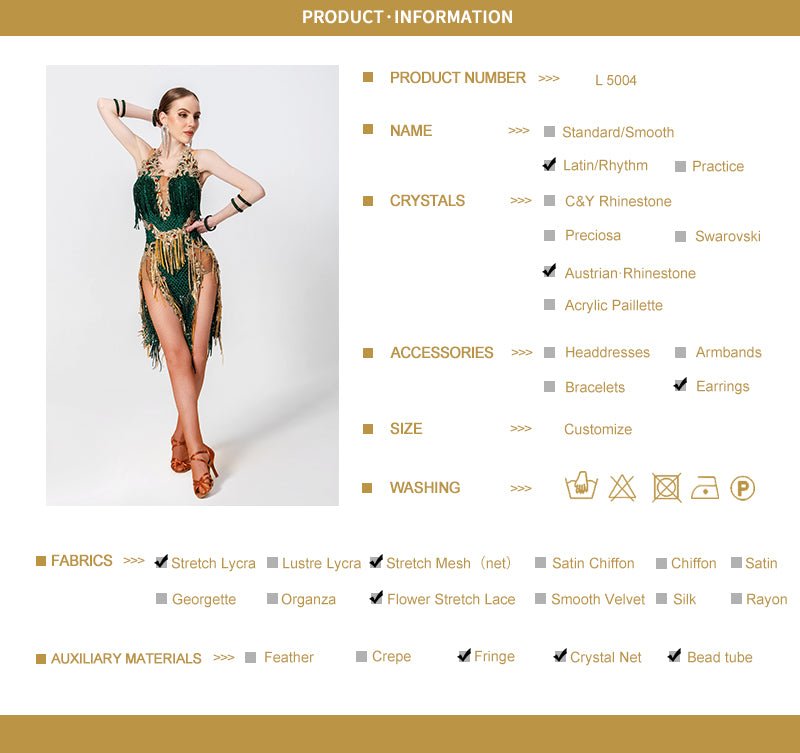 Crystallized Net Beaded Fringe Latin Dress Latin/Rhythm 