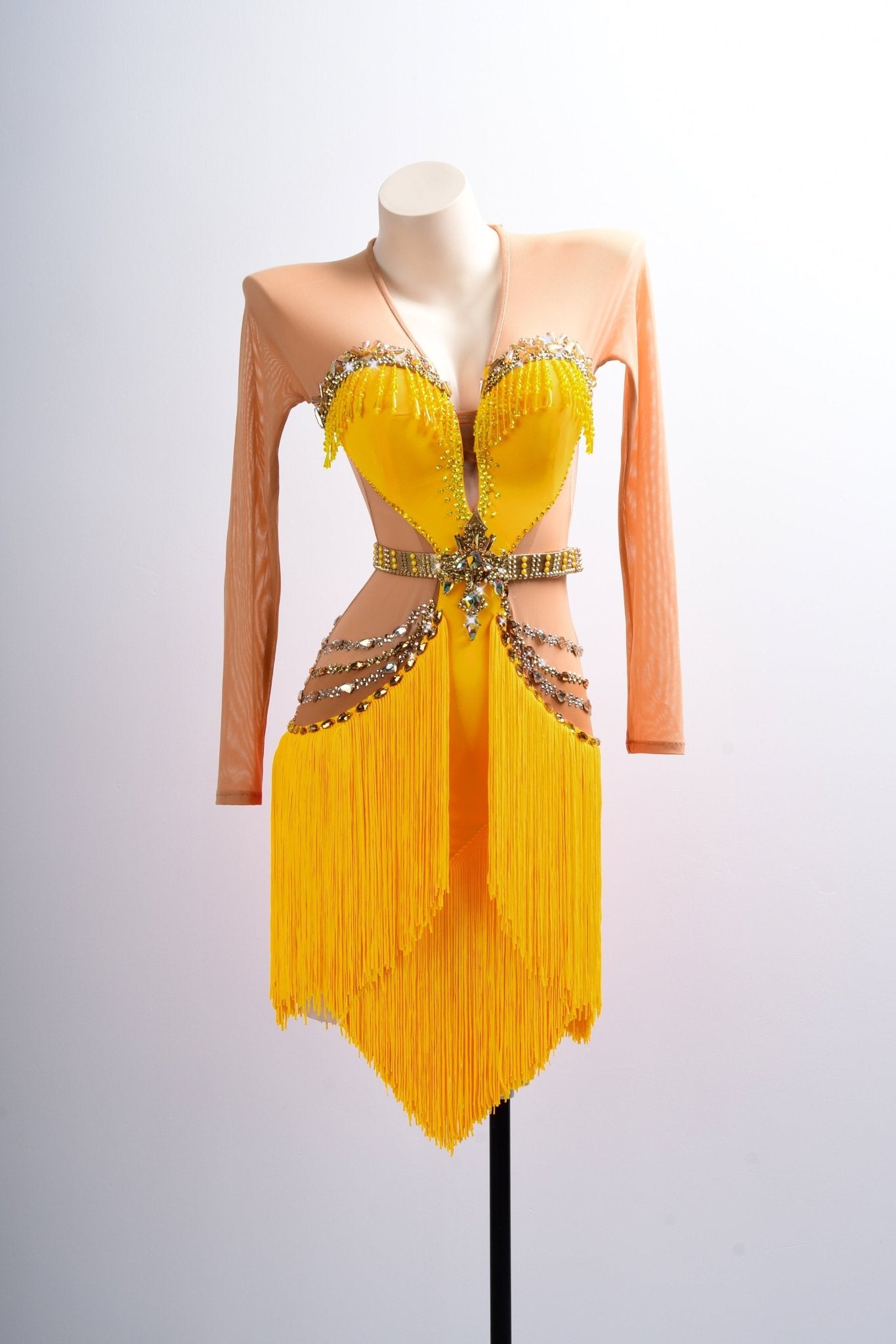 Long - sleeves Crystalline Fringe Latin Dress Latin/Rhythm 