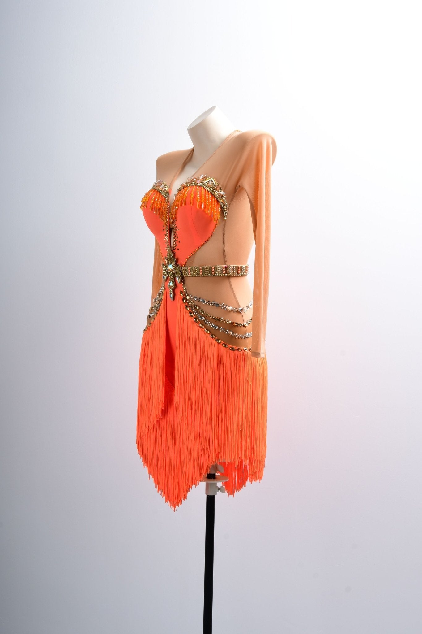 Long - sleeves Crystalline Fringe Latin Dress Latin/Rhythm 