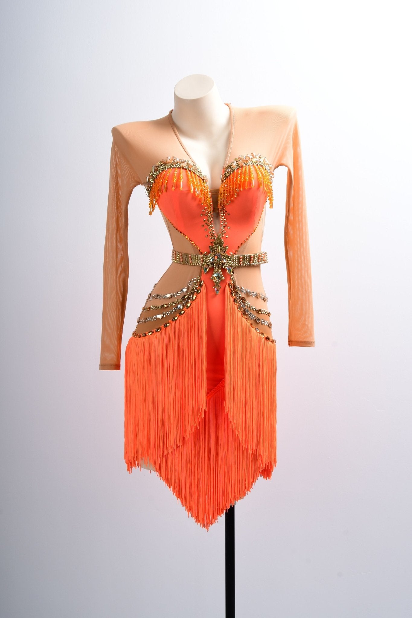 Long - sleeves Crystalline Fringe Latin Dress Latin/Rhythm 