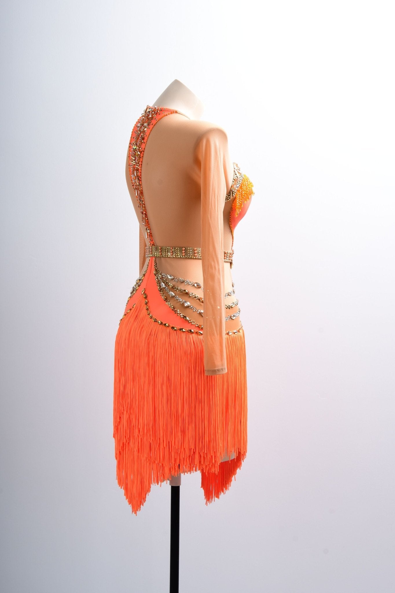 Long - sleeves Crystalline Fringe Latin Dress Latin/Rhythm 