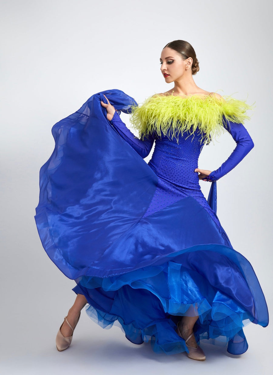 Ostrich Feather Top crystallized Ballroom Dress Standard/Smooth # M471 – Unika Dancewear