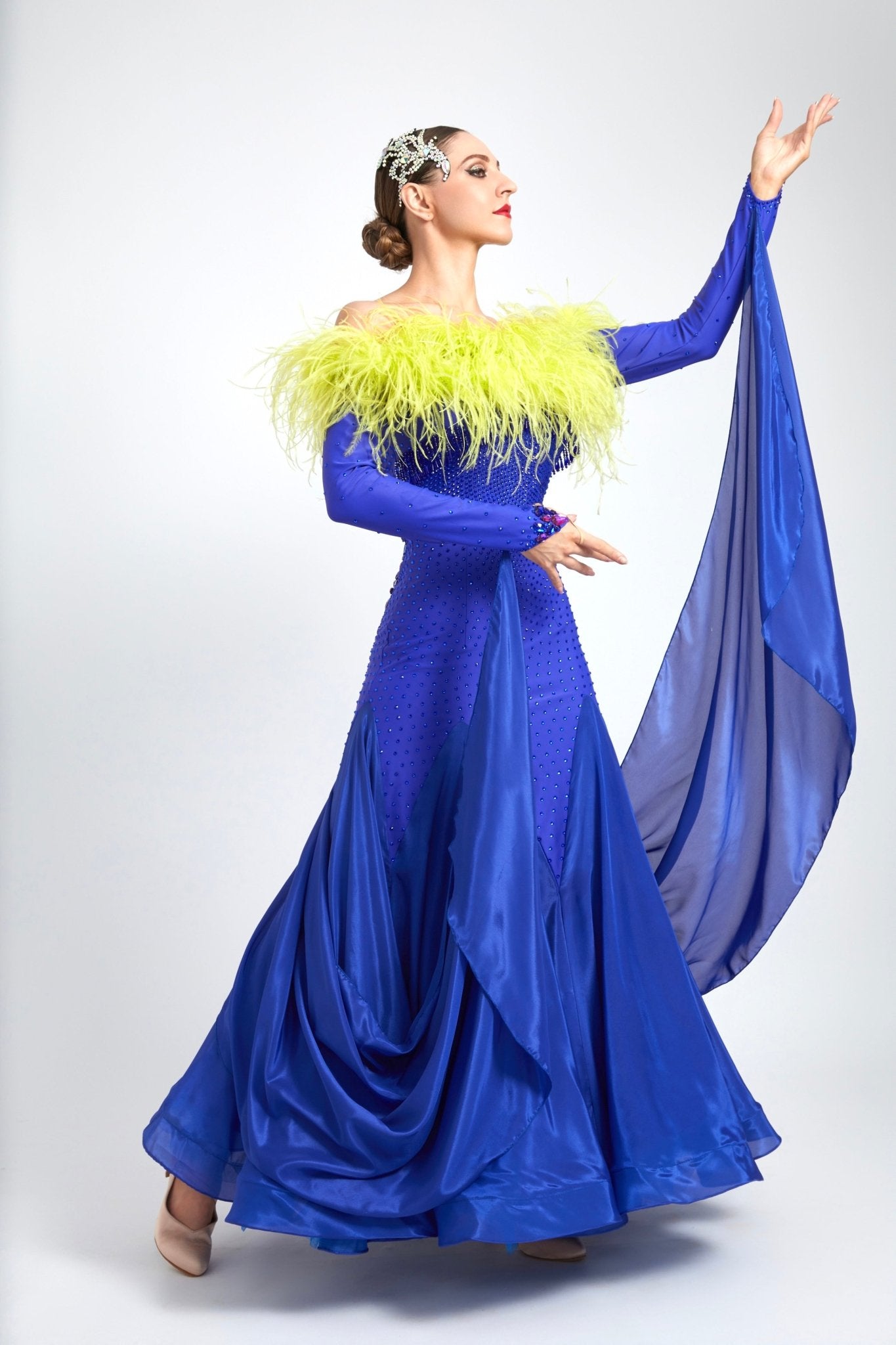 Ostrich Feather Top crystallized Ballroom Dress Standard/Smooth 