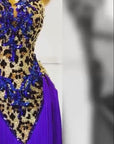 Crystalline Leopard Print Fringe Latin Performance Dress Latin/Rhythm 