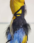 Crystalline Beaded Ostrich Feather Latin Dress Latin/Rhythm 