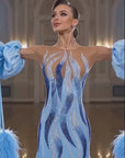 Crystalline Ostrich Feather Ballroom Dress Standard/Smooth 