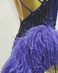 Beaded & Ostrich Feather Latin  Dress Latin/Rhythm  