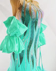Crystalline Ostrich Feather Ballroom Dress Standard/Smooth 
