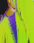 Crystalline Color‑Contrast 3D Floral Fringe Dress  Latin/Rhythm 