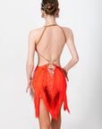 Beaded Fringe Crystallized Latin Dress Latin/Rhythm 